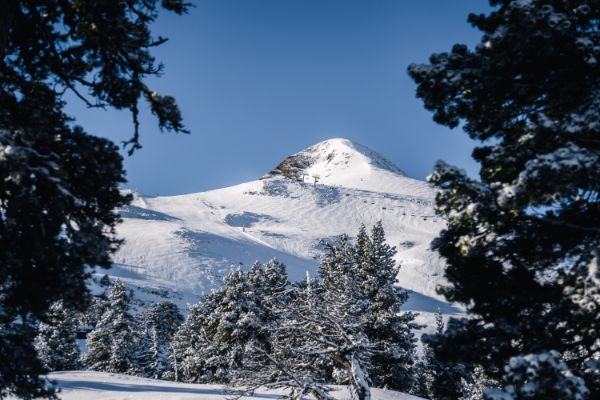 sapins la pierre saint martin