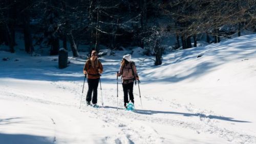 raquettes-neige-pyrenees