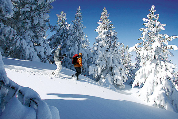 Raquette piau pineta