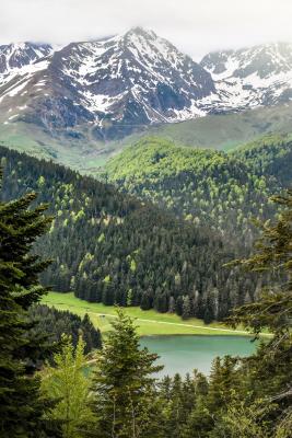 Lac de Payolle été
