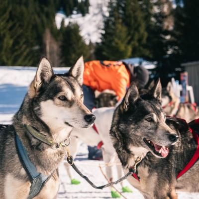 Découvrez de nombreuses activités au Grand-Tourmalet